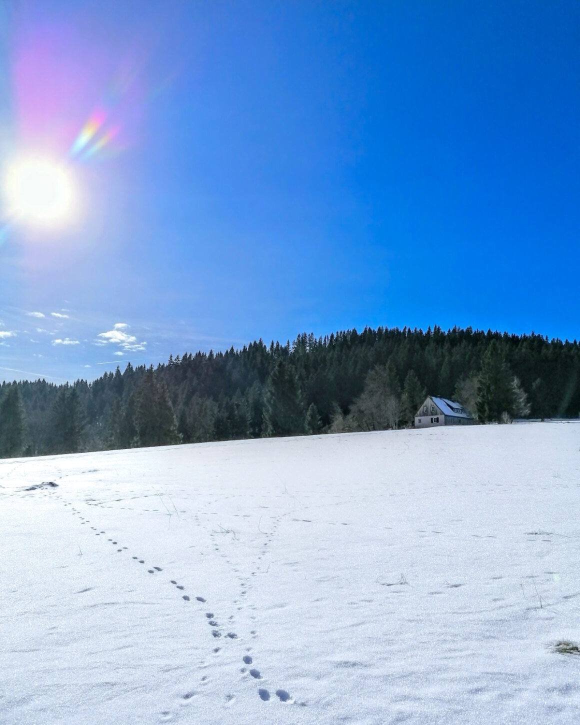Schneeschuhwandern schwäbische alb schwarzwald-4