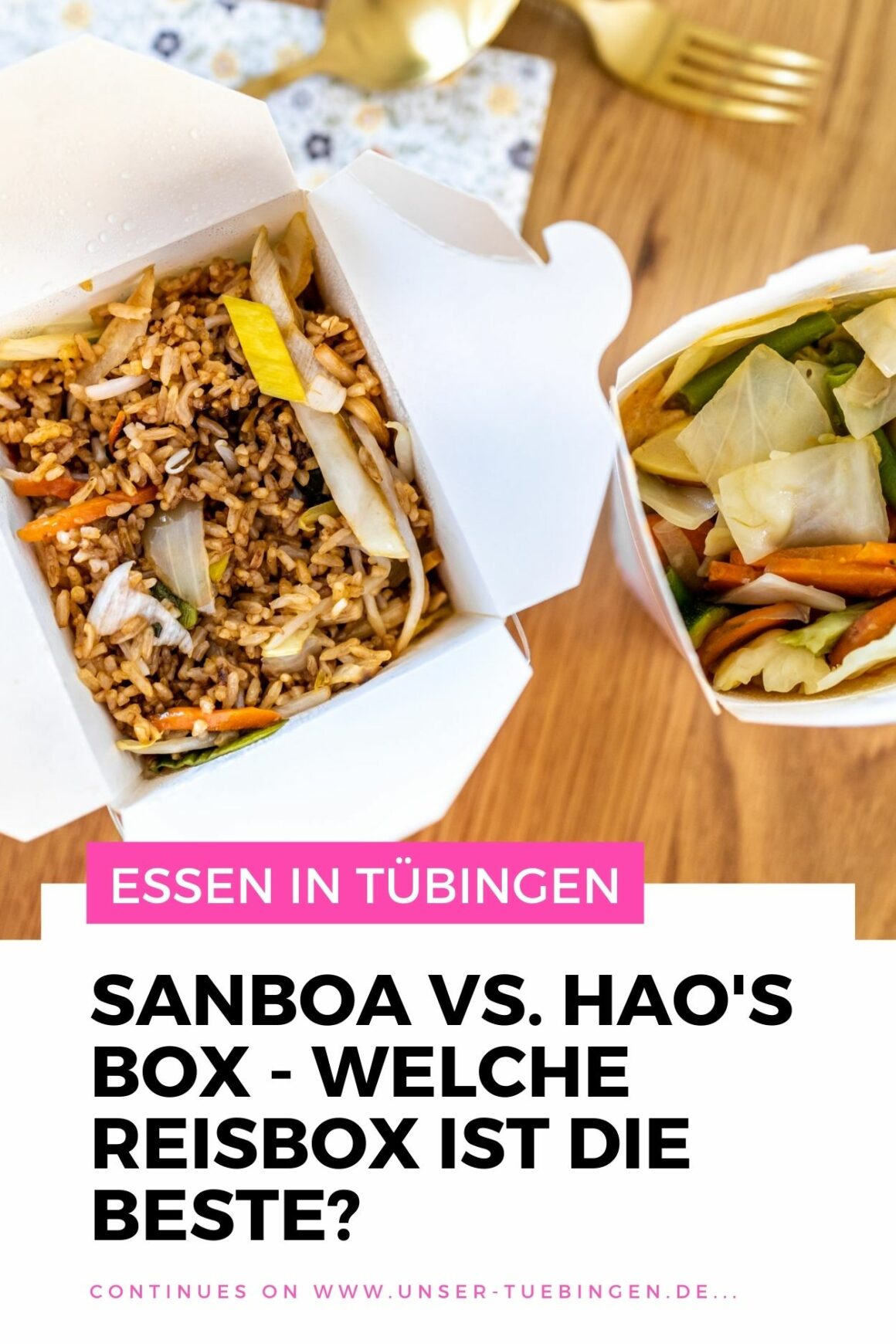 sanbao-haos-box-reisbox-tuebingen
